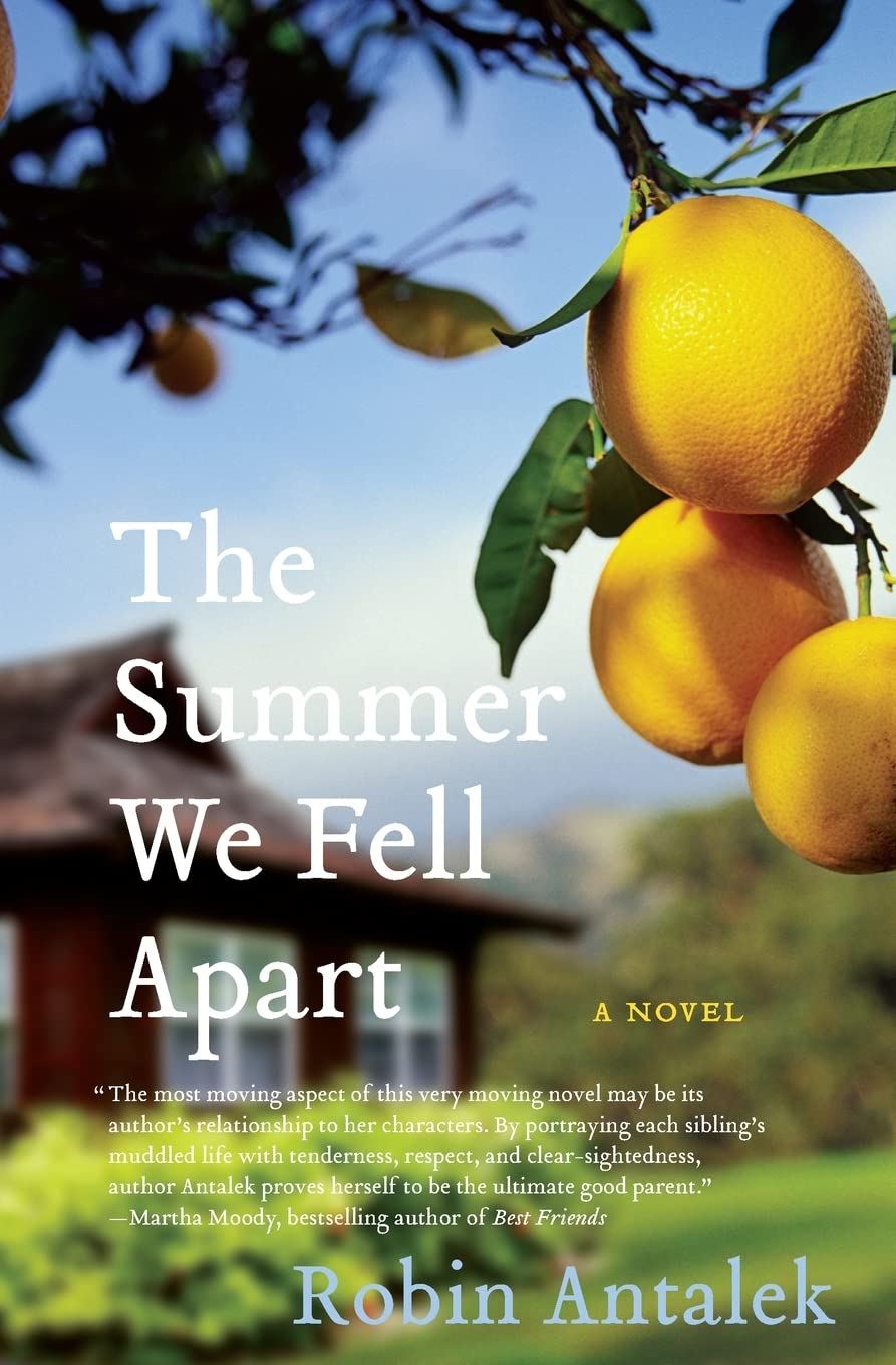 The Summer We Fell Apart: A Novel,Used