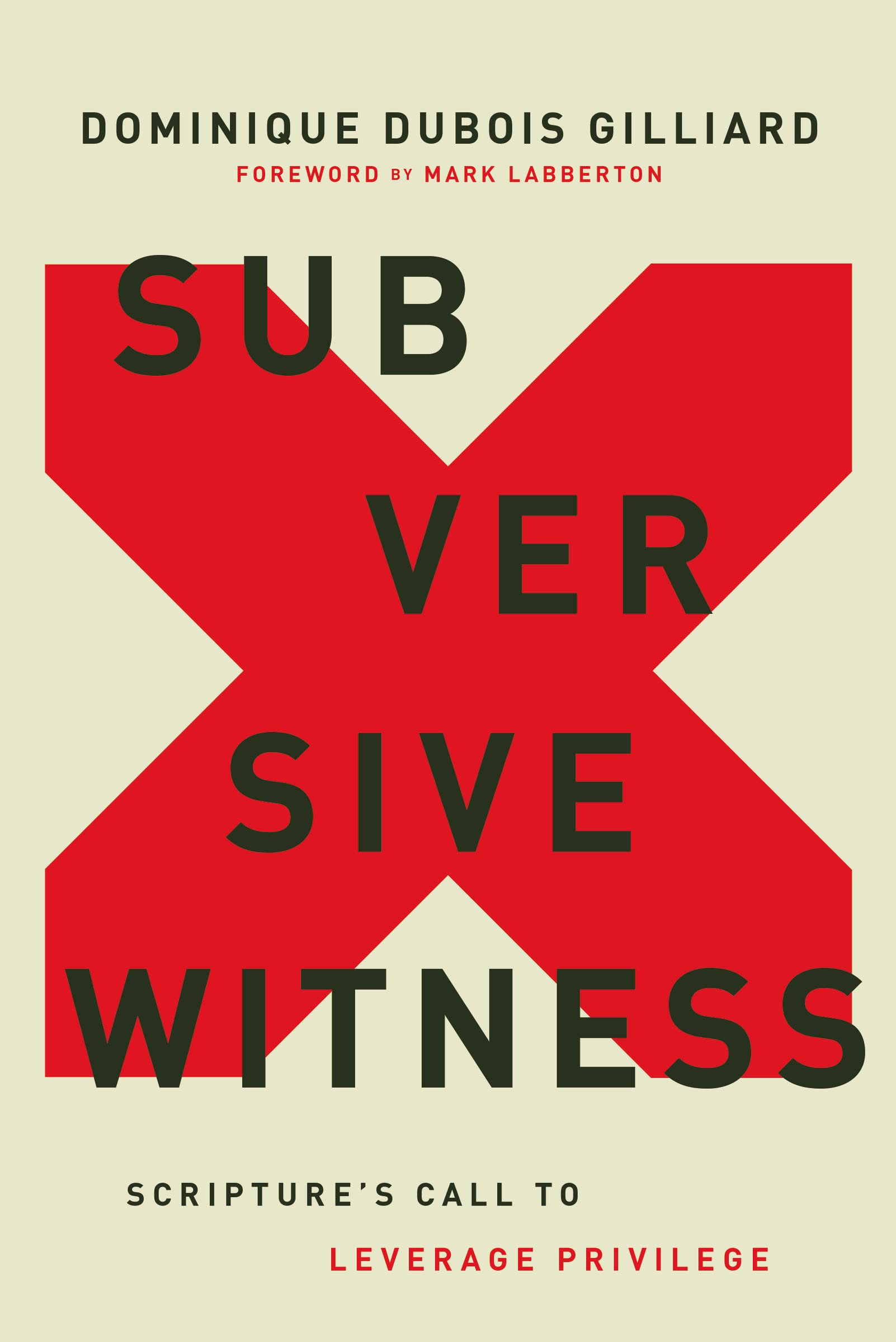 Subversive Witness: Scripture's Call to Leverage Privilege,Used