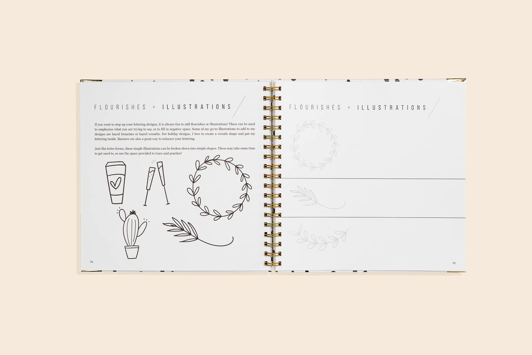 Hand Lettering 101: A StepbyStep Calligraphy Workbook for Beginners (Gold SpiralBound Workbook with Gold Corner Protectors) (,Used