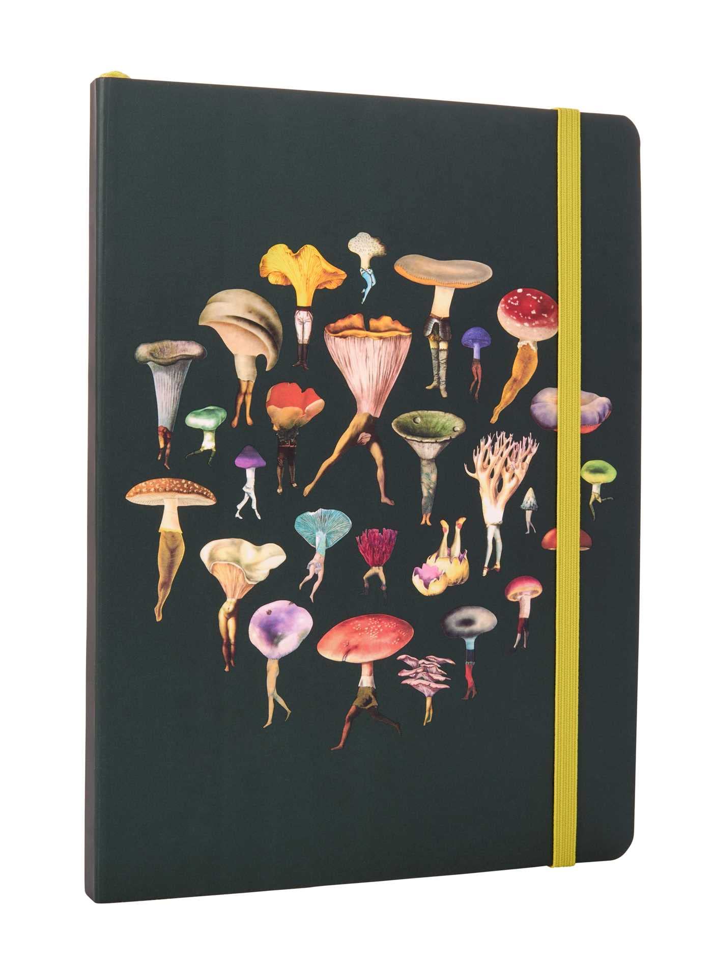 Art of Nature: Fungi Softcover Notebook: (Gifts for Mushroom Enthusiasts and Nature Lovers, Nature Journal, Nature Notebook, Jou,Used
