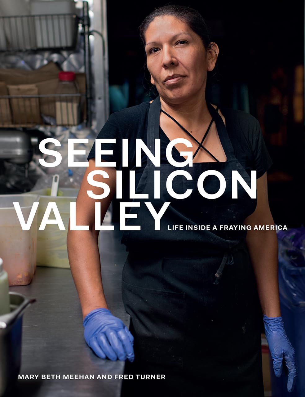 Seeing Silicon Valley: Life inside a Fraying America,Used