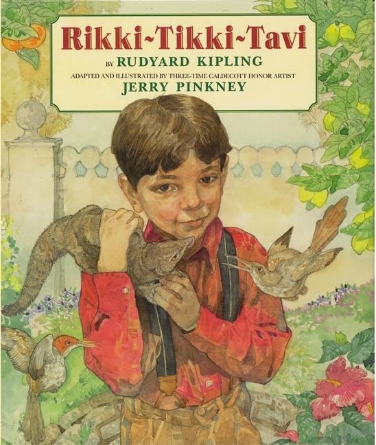 RikkiTikkiTavi,Used