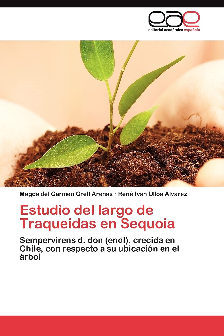 Estudio del largo de Traqueidas en Sequoia: Sempervirens d. don (endl). crecida en Chile, con respecto a su ubicacin en el r,Used