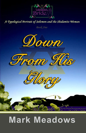 Down From His Glory: Solomon's Bride Volume One,Used