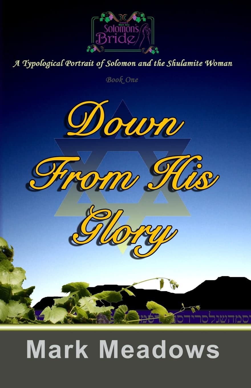 Down From His Glory: Solomon's Bride Volume One,Used