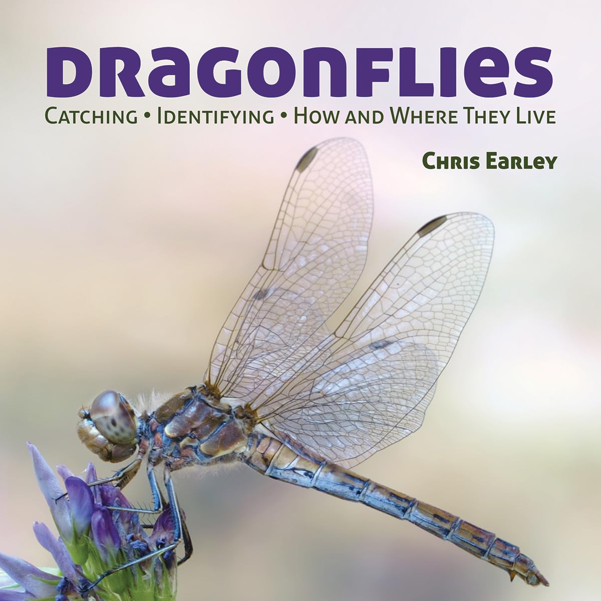 Dragonflies: Catching  Identifying  How and Where They Live,Used