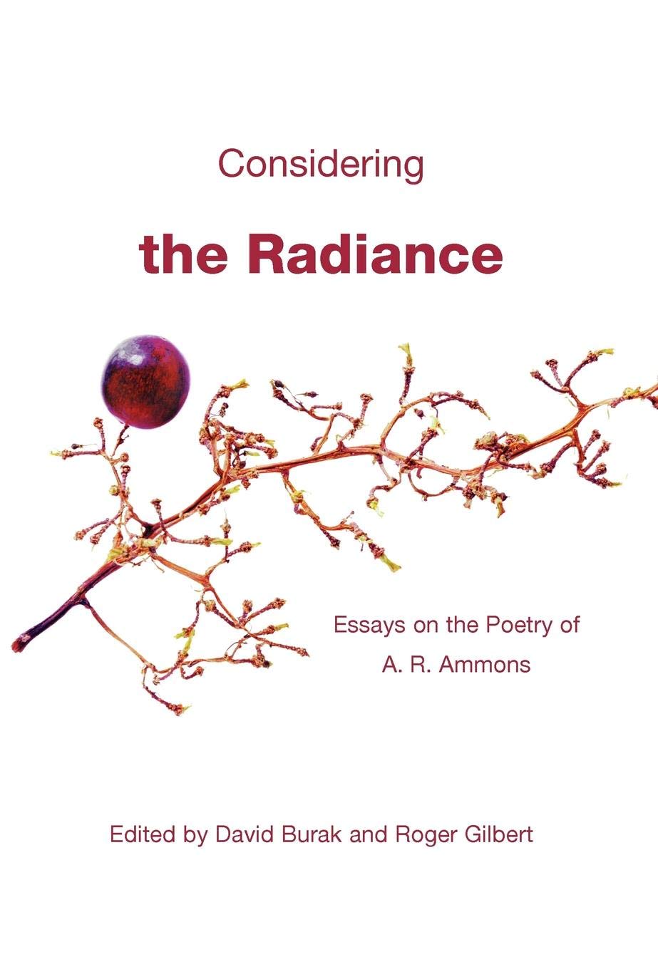 Considering the Radiance: Essays on the Poetry of A. R. Ammons,Used