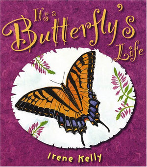 It's a Butterfly's Life,Used