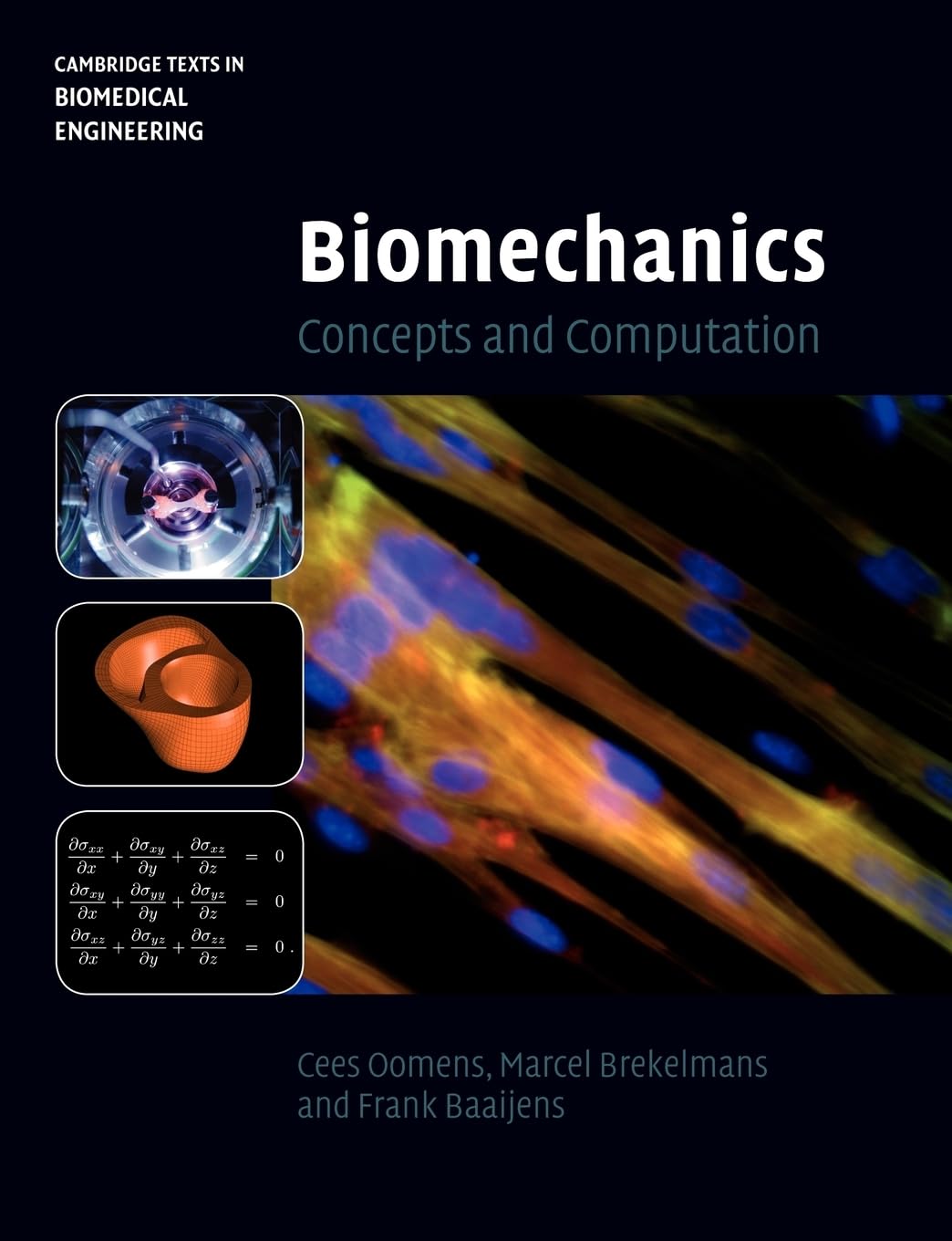 Biomechanics: Concepts And Computation (Cambridge Texts In Biomedical Engineering)-new