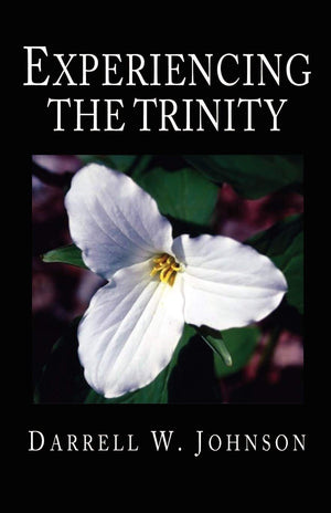 Experiencing the Trinity,Used