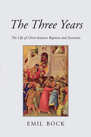 The Three Years: The Life Of Christ Between Baptism And Ascension,New