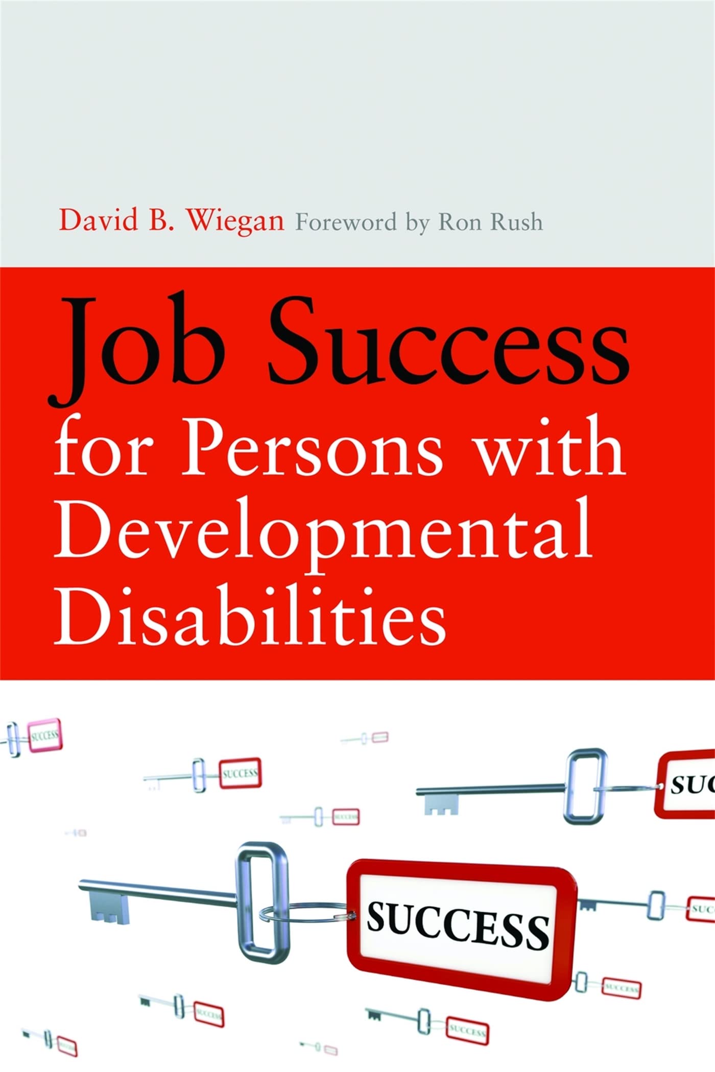 Job Success for Persons With Developmental Disabilities,Used