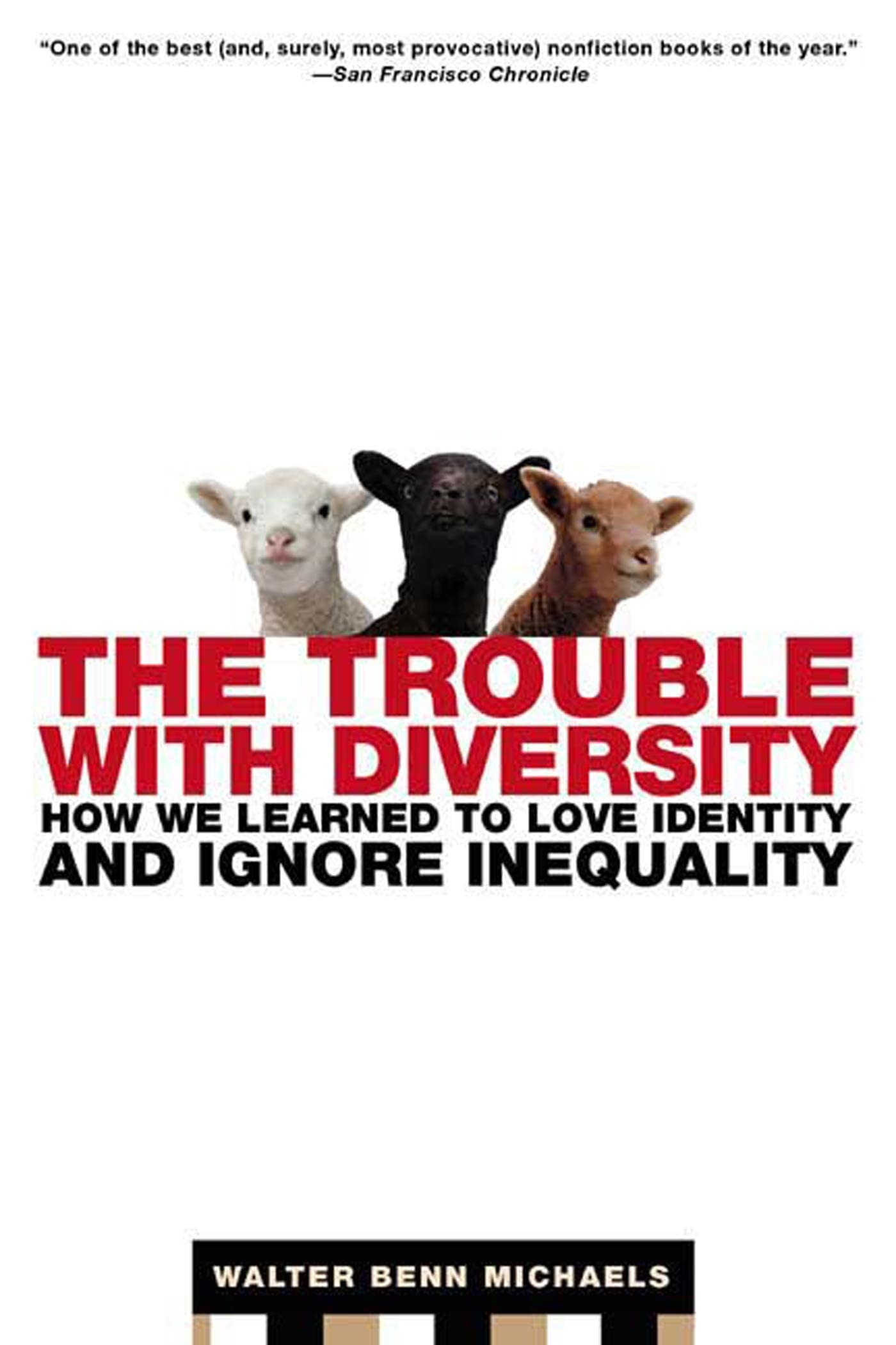 The Trouble With Diversity: How We Learned To Love Identity And Ignore Inequality,Used