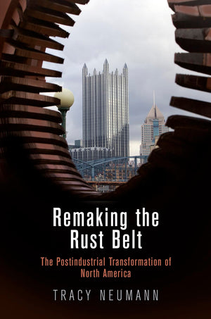 Remaking The Rust Belt: The Postindustrial Transformation Of North America (American Business, Politics, And Society),New
