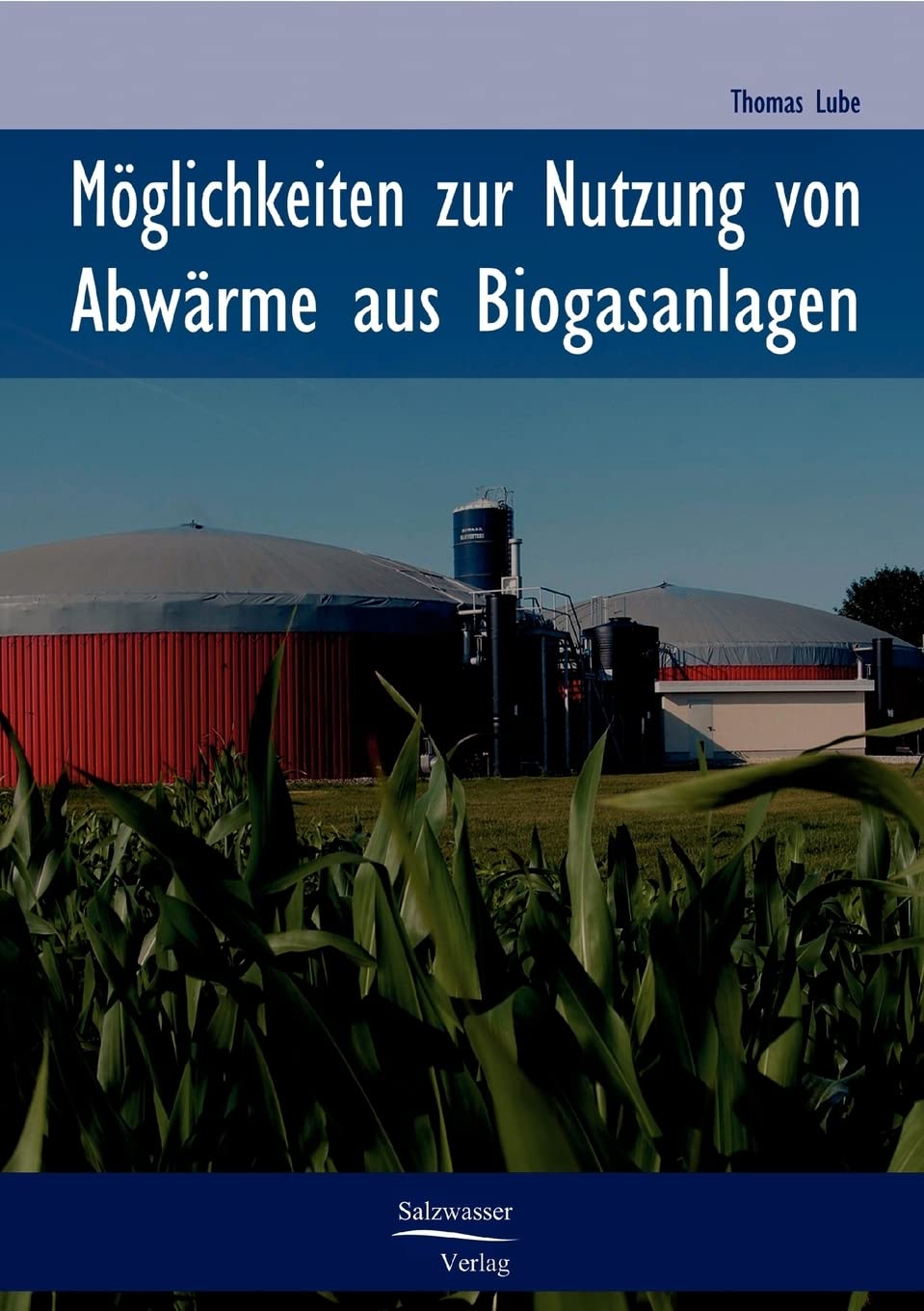 Mglichkeiten zur Nutzung von Abwrme in Biogasanlagen (German Edition),Used