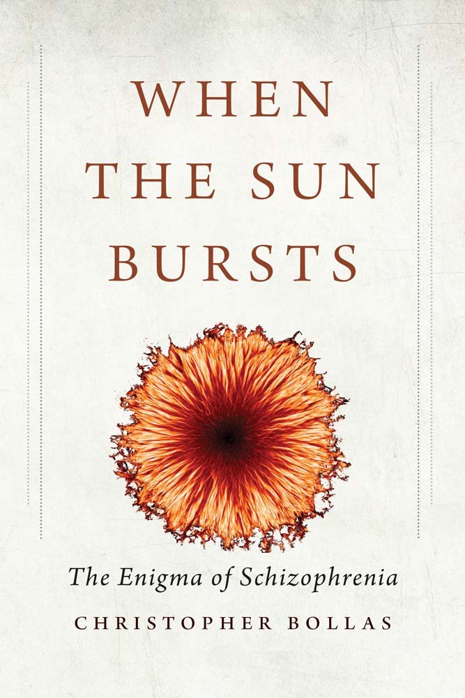 When the Sun Bursts: The Enigma of Schizophrenia,Used