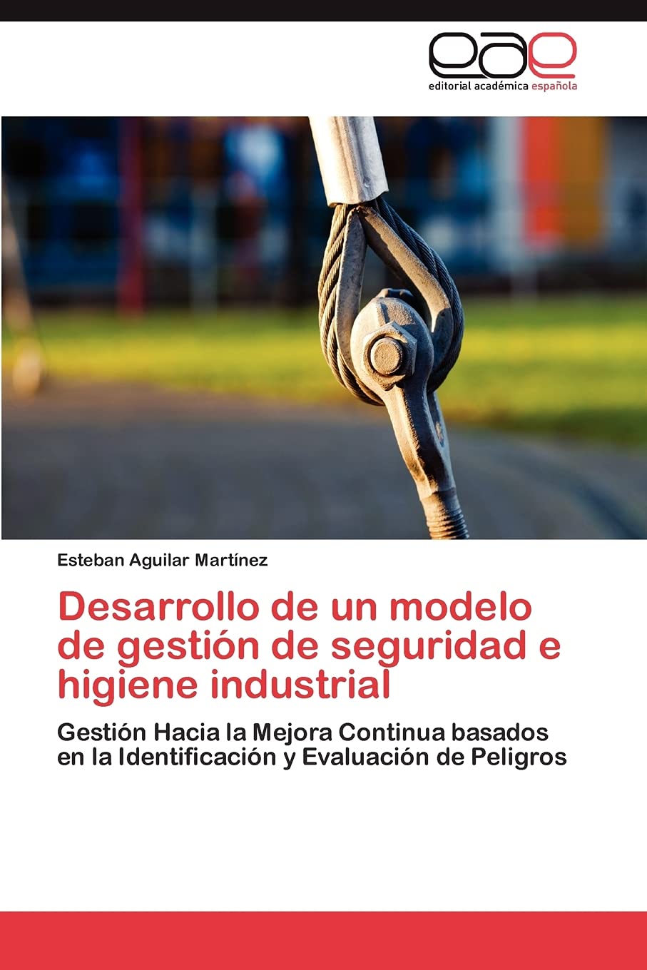 Desarrollo de un modelo de gestin de seguridad e higiene industrial: Gestin Hacia la Mejora Continua basados en la Identific,Used