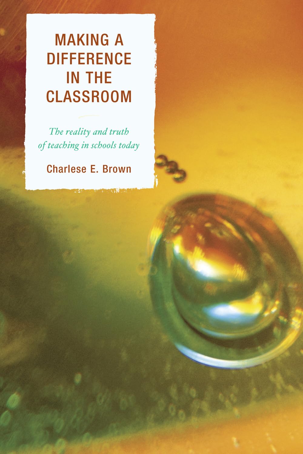 Making A Difference In The Classroom: The Reality And Truth Of Teaching In Schools Today,Used