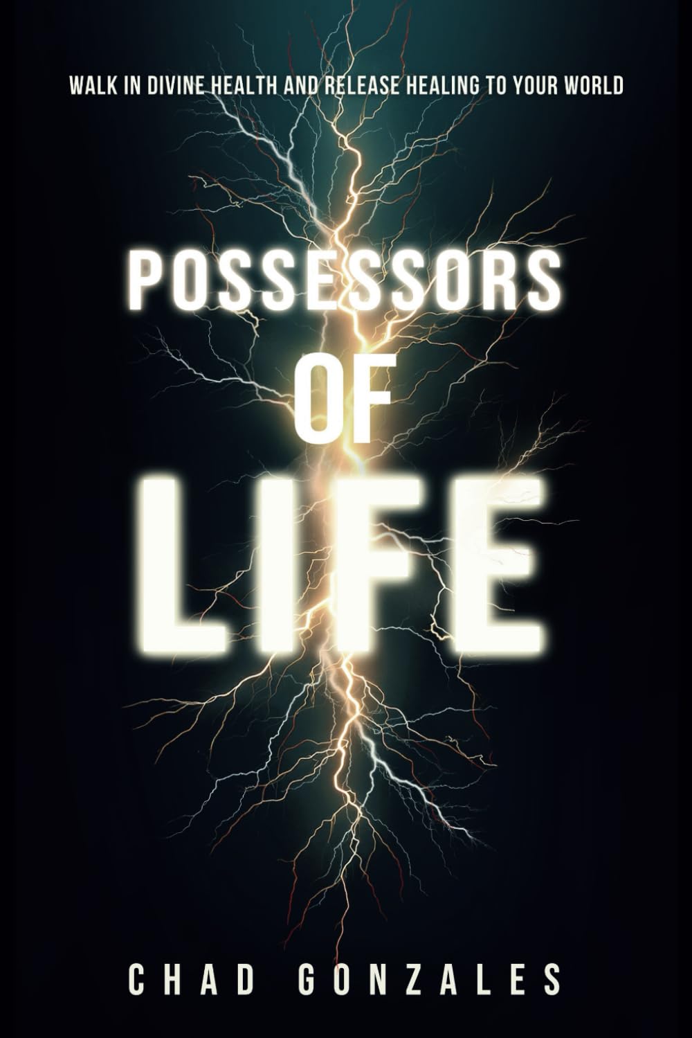 Possessors Of Life: Walk In Divine Health And Bring Healing To Your World-used