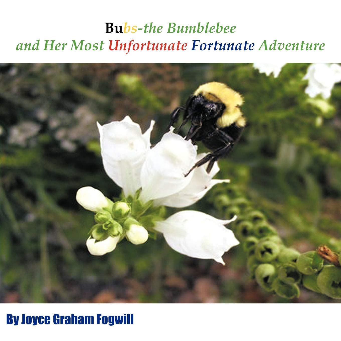 Bubs the Bumblebee and Her Most Unfortunate Fortunate Adventure,Used