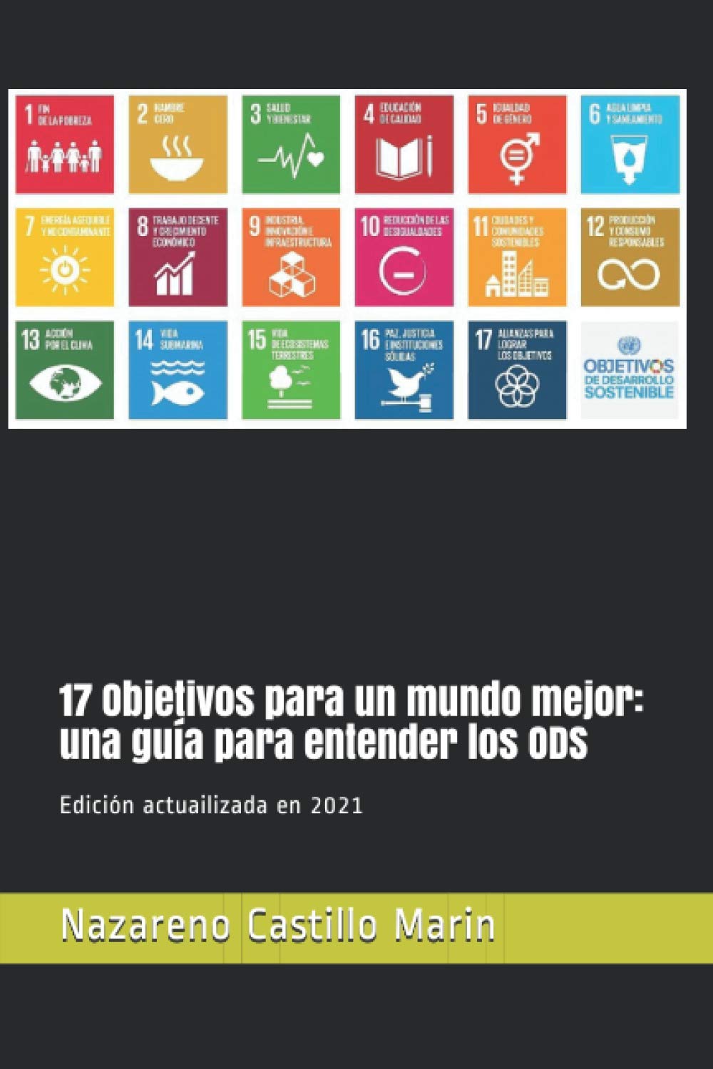 17 Objetivos para un mundo mejor: una gua para entender los ODS: Construir un mundo mejor es el mayor desafo de la humanidad,Used