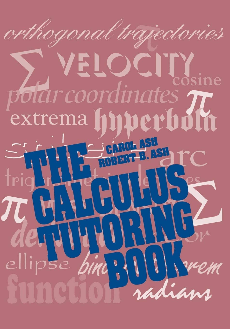 The Calculus Tutoring Book,Used