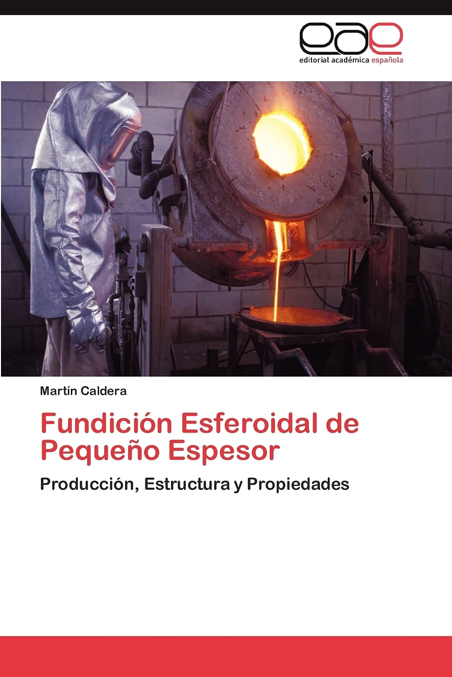 Fundicin Esferoidal de Pequeo Espesor: Produccin, Estructura y Propiedades (Spanish Edition),Used