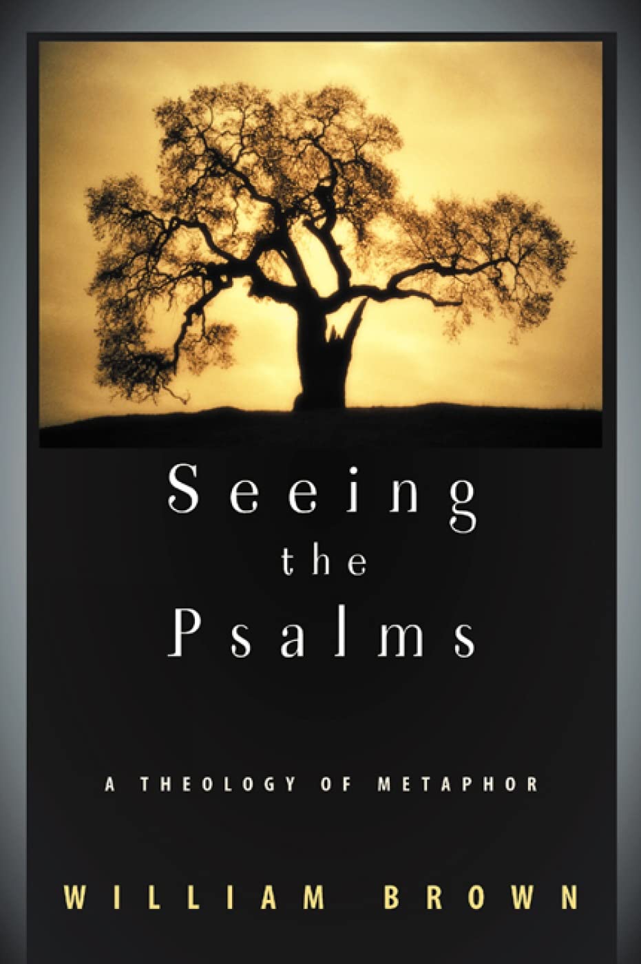 Seeing the Psalms: A Theology of Metaphor,Used