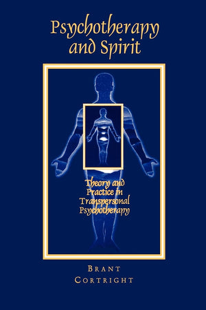 Psychotherapy and Spirit: Theory and Practice in Transpersonal Psychotherapy (Suny Series in the Philosophy of Psychology) (Suny,Used