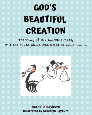 God'S Beautiful Creation: The Story Of How You Were Made, And The Truth About Where Babies Come From...,New