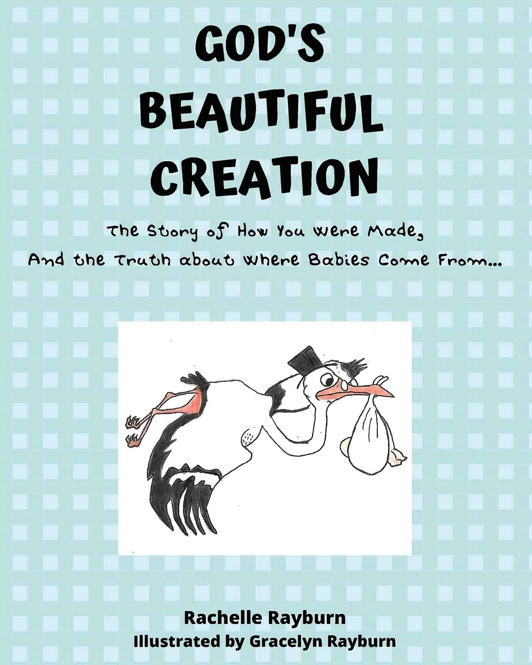 GOD'S BEAUTIFUL CREATION: The Story of How You Were Made, And the Truth about Where Babies Come From...,Used