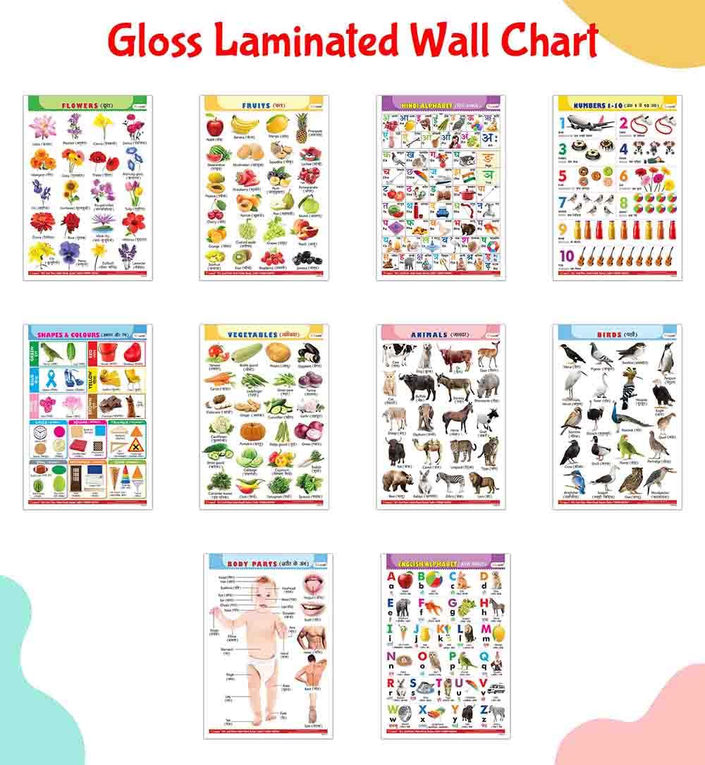 Complete Learning Chart Set Of 10 For Kids : Alphabet, Fruits, Vegetables, Animals, Birds, Body Parts, Numbers, Hindi Varnmala, Shapes & Colours And Flowers  Gloss Laminated English-Hindi Charts