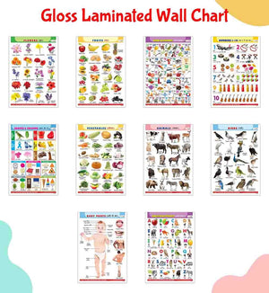 Complete Learning Chart Set Of 10 For Kids : Alphabet, Fruits, Vegetables, Animals, Birds, Body Parts, Numbers, Hindi Varnmala, Shapes & Colours And Flowers  Gloss Laminated English-Hindi Charts