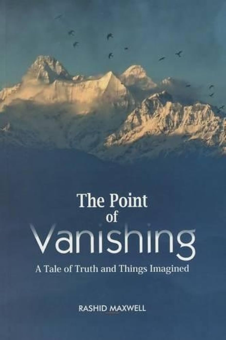 The Point Of Vanishing: A Tale Of Truth And Things Imagined,Used