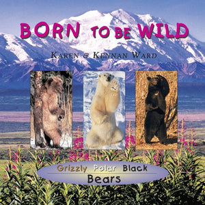 Bears, Born to be Wild,Used