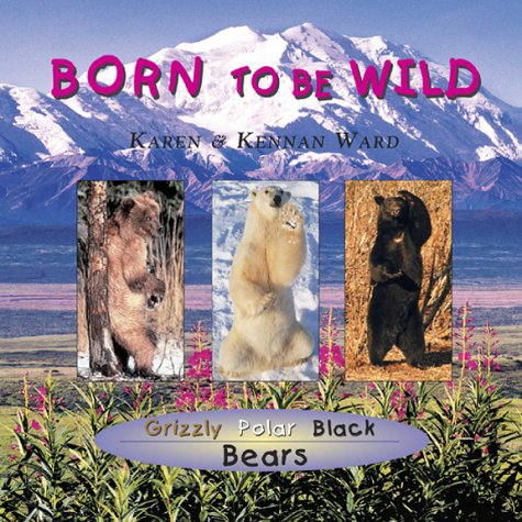 Bears, Born to be Wild,Used