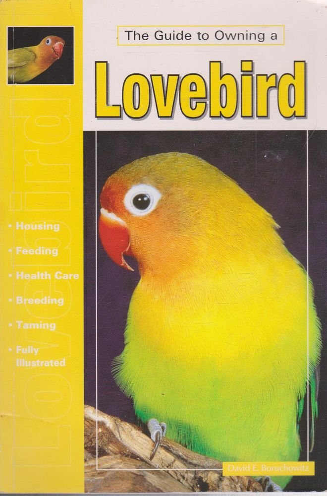 The Guide to Owning a Lovebird,Used