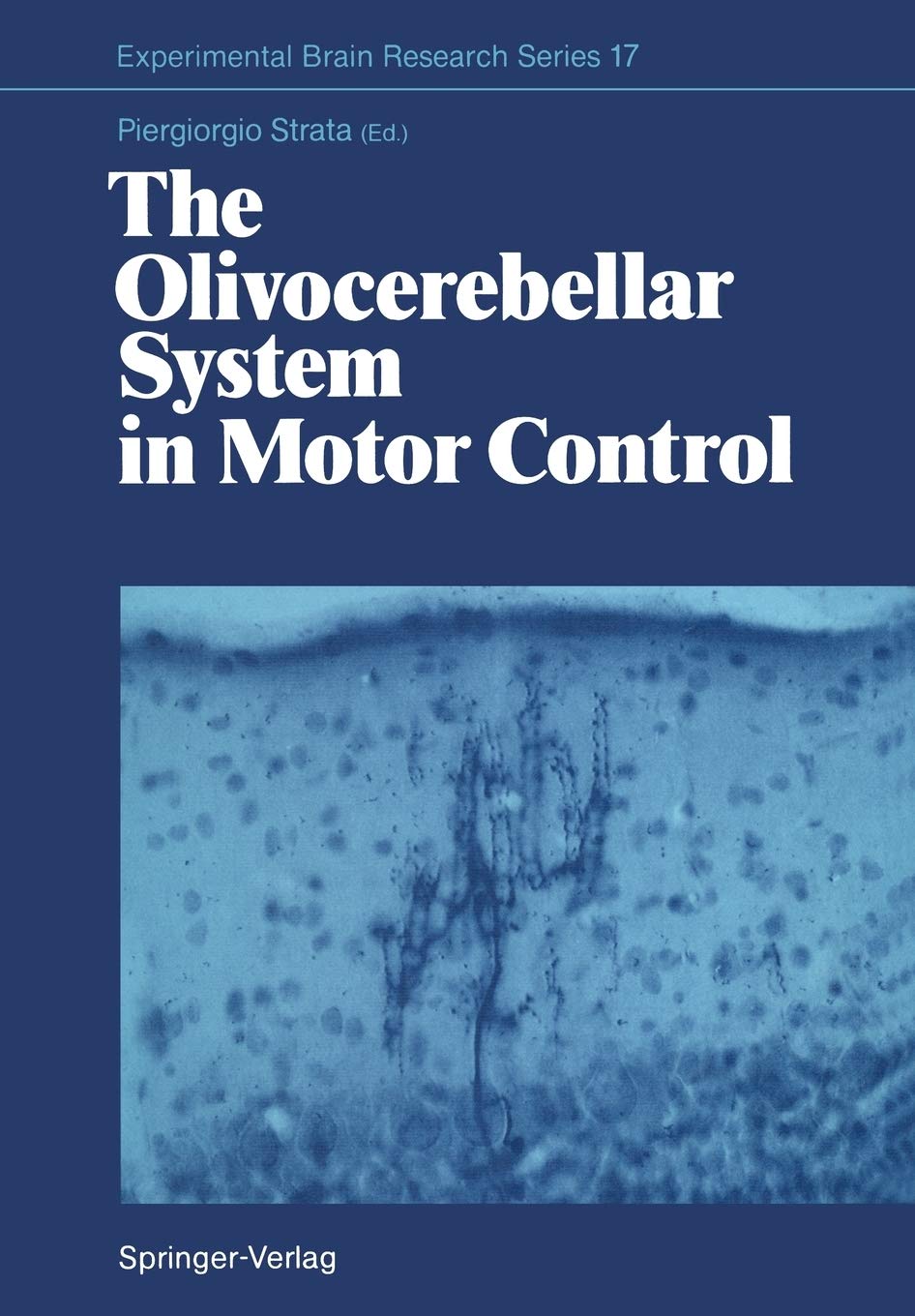 The Olivocerebellar System in Motor Control (Experimental Brain Research Series, 17),Used