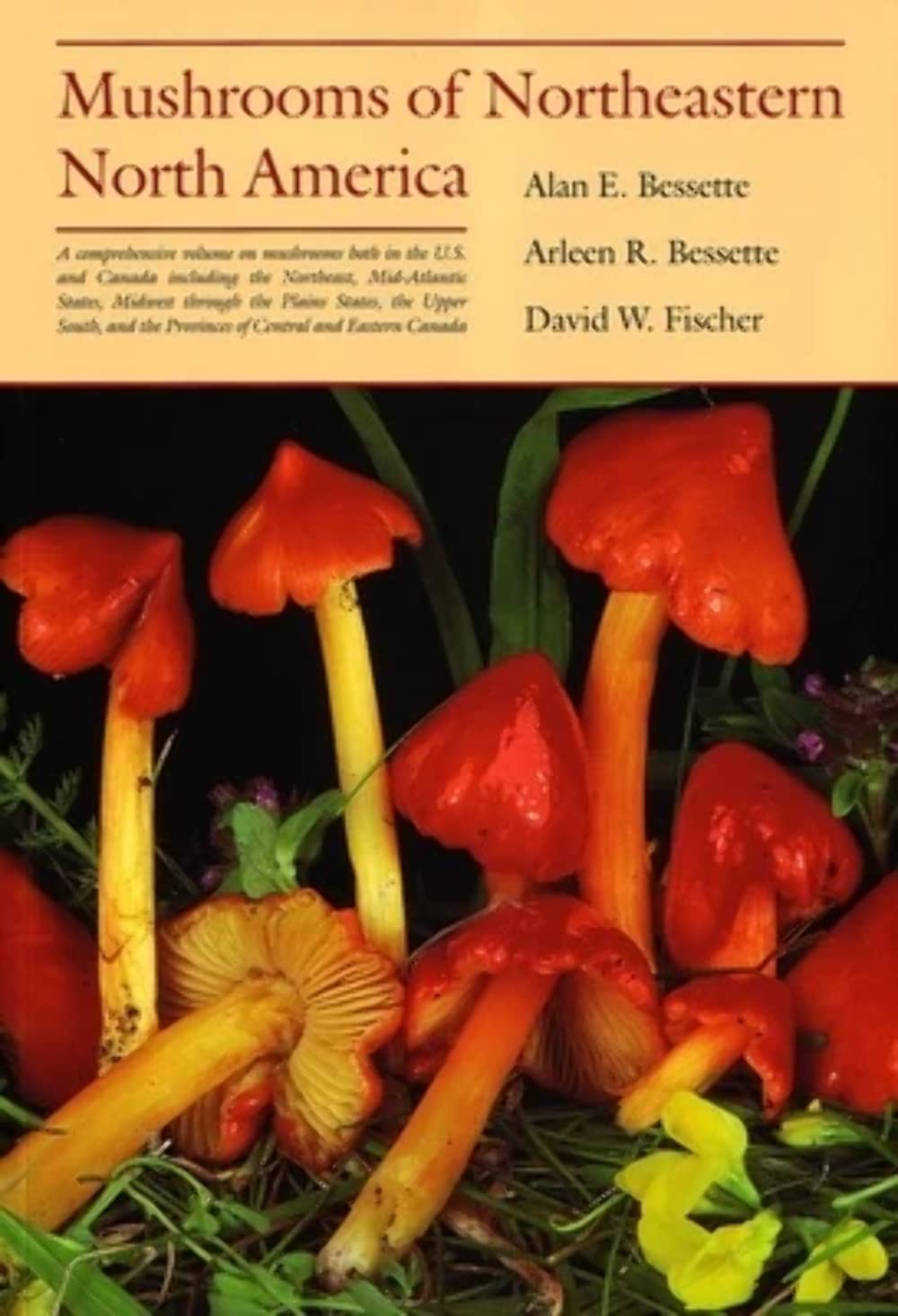Mushrooms of Northeastern North America,Used