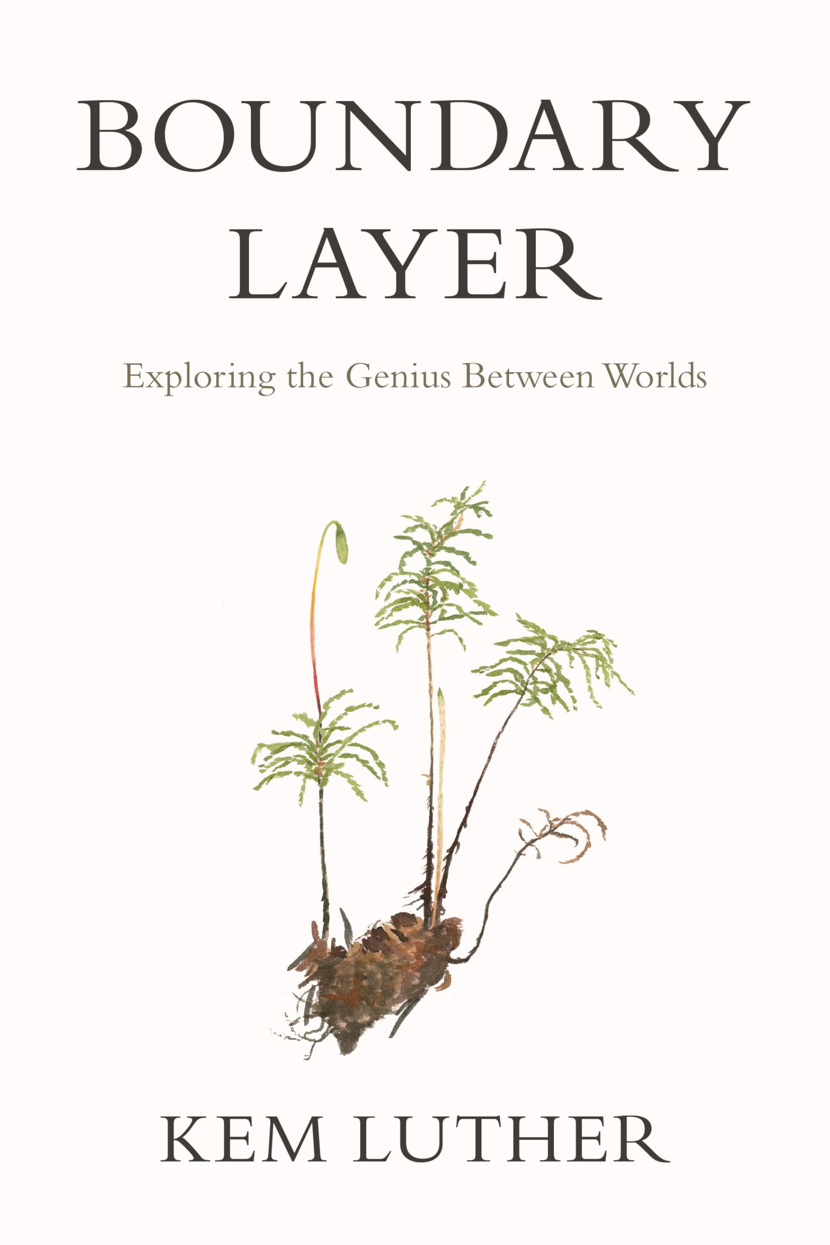 Boundary Layer: Exploring the Genius Between Worlds,Used