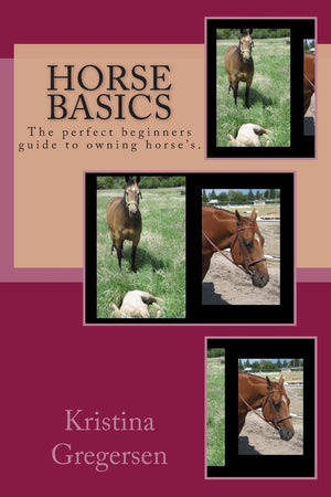 Horse Basics,Used