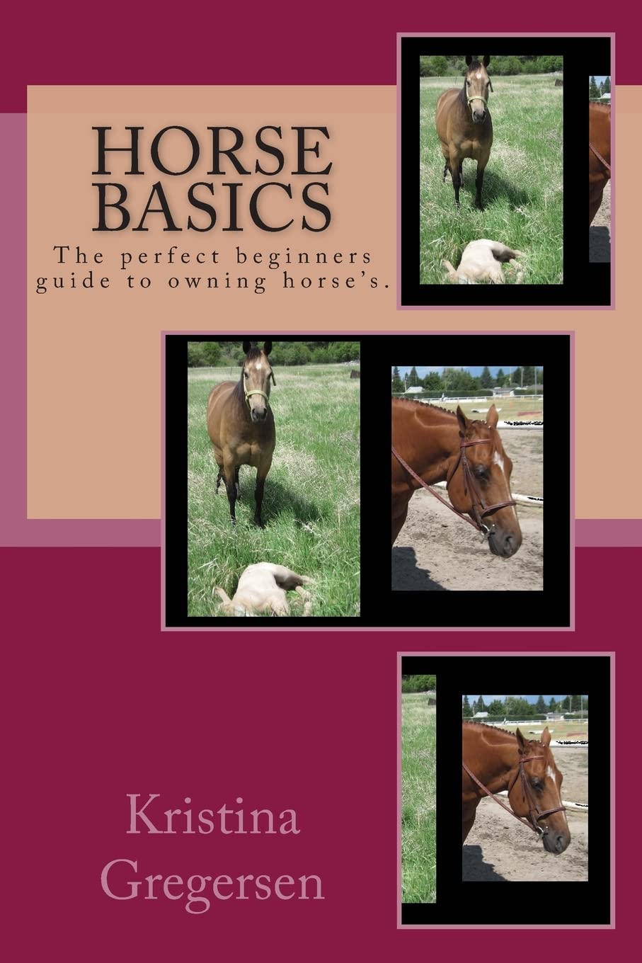 Horse Basics,Used