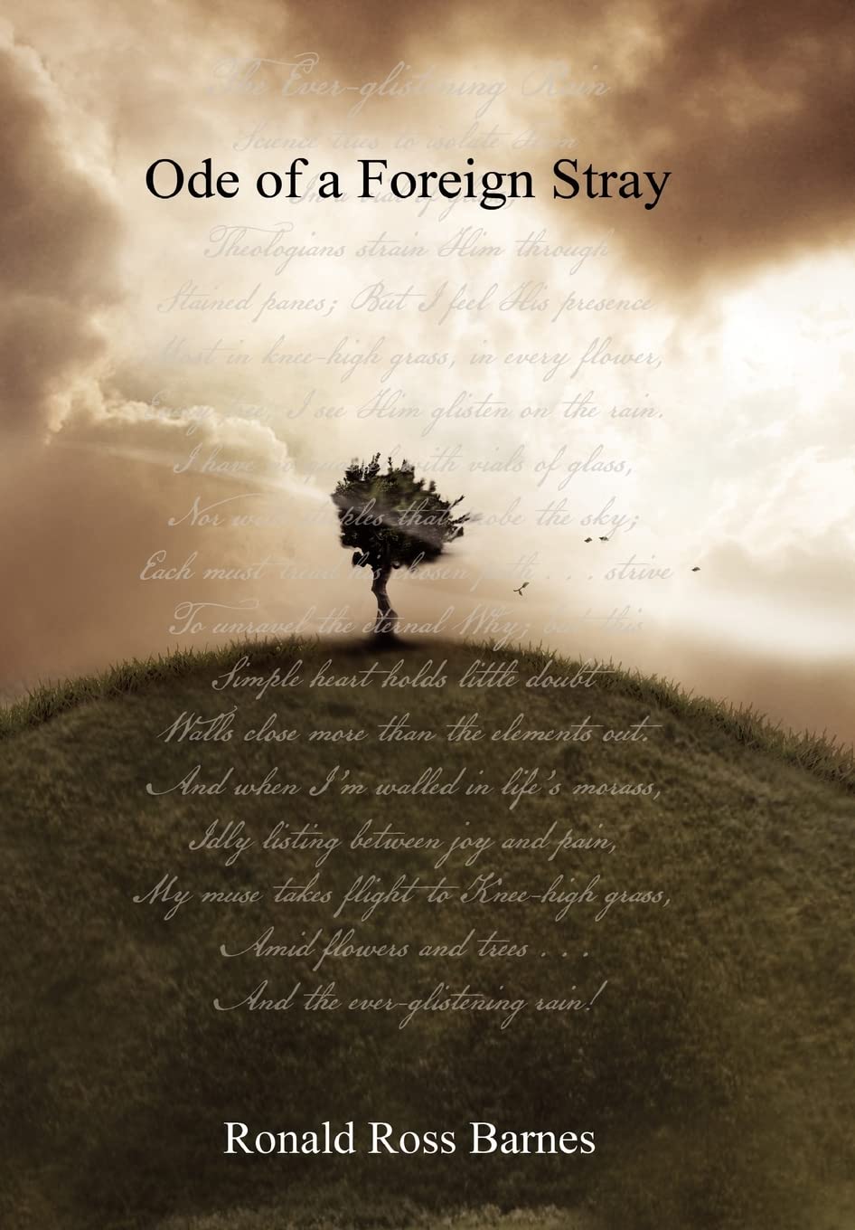 Ode Of A Foreign Stray,Used