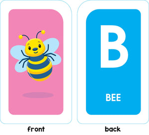 School Zone Alphabet Flash Cards: 56 Cards, Toddler, Preschool, Learn The Abc'S, Letters, Phonics, Colorful & Fun Learning, Ages,Used