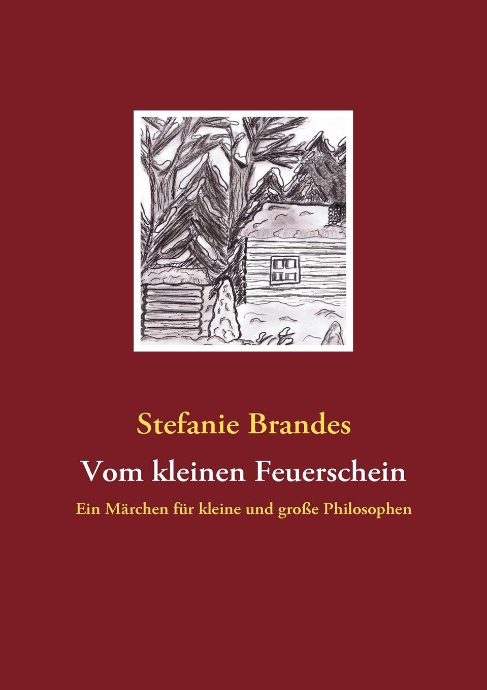 Vom kleinen Feuerschein: Ein Mrchen fr kleine und groe Philosophen (German Edition),Used