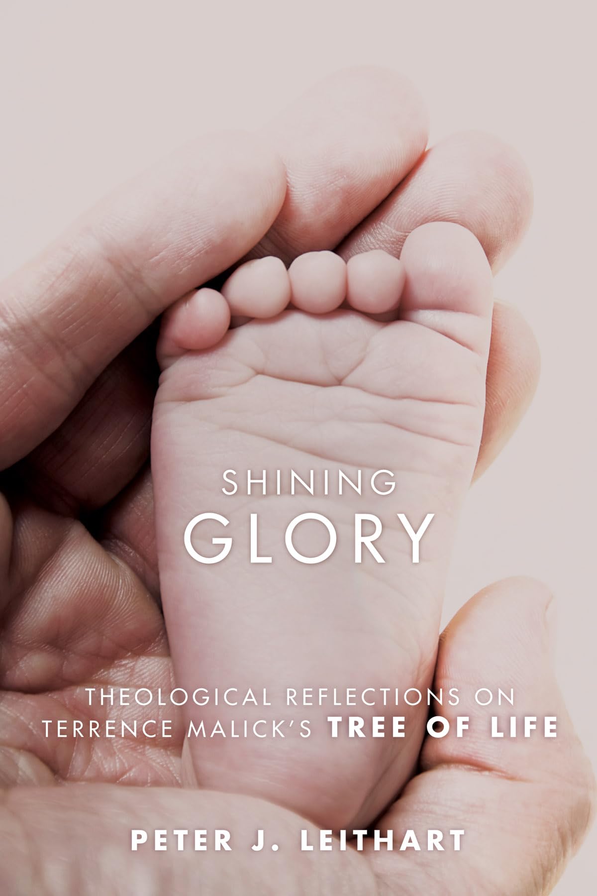 Shining Glory: Theological Reflections on Terrence Malick's Tree of Life,Used