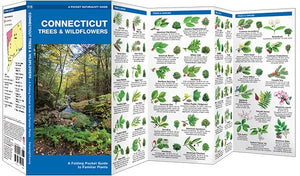 Connecticut Trees & Wildflowers: A Folding Pocket Guide to Familiar Plants (Wildlife and Nature Identification),Used