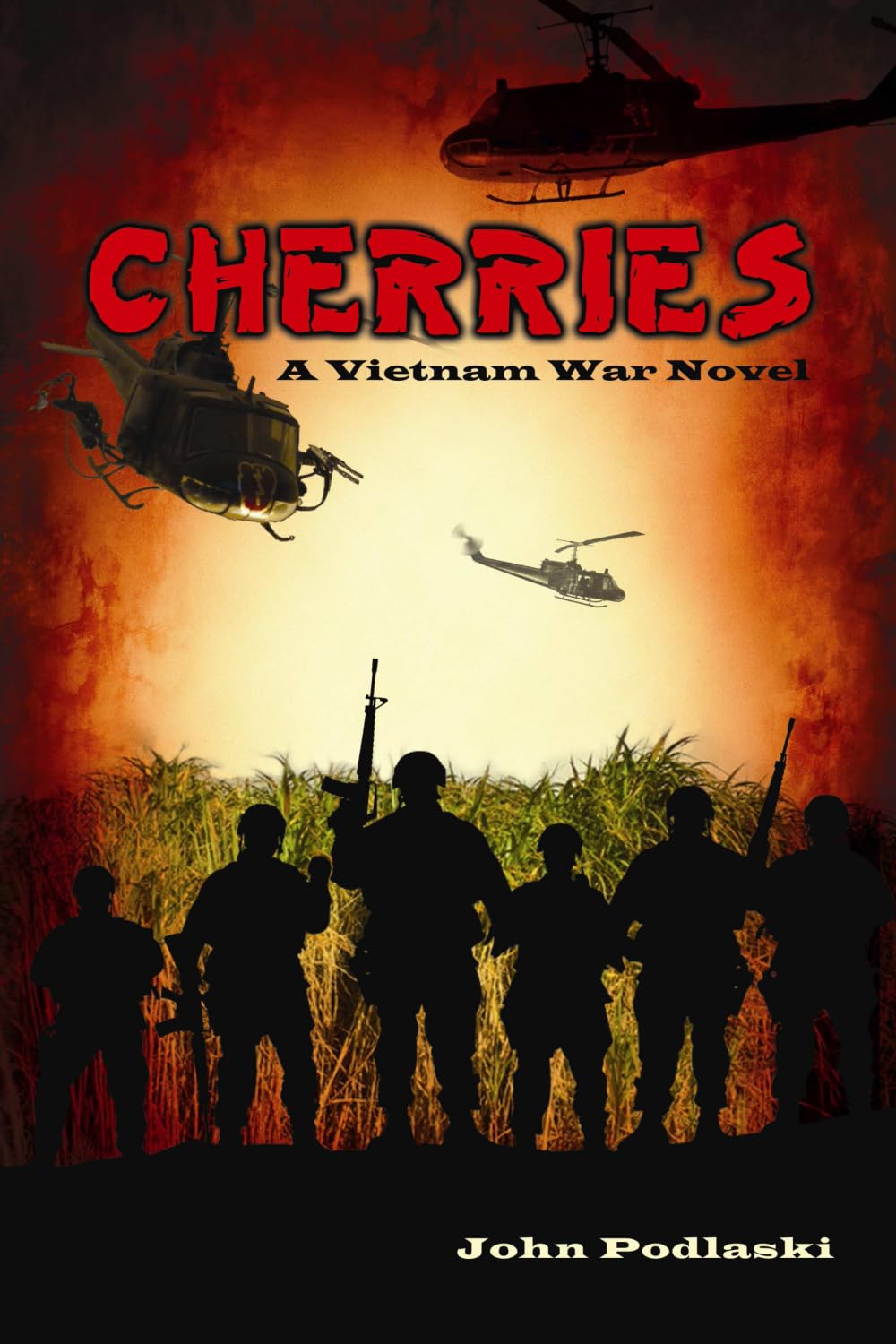 Cherries : A Vietnam War Novel,New