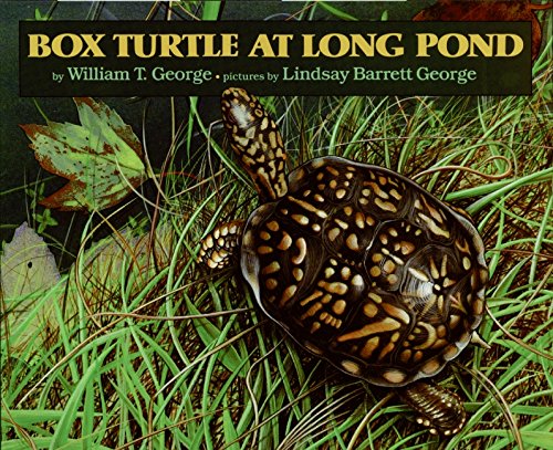 Box Turtle at Long Pond,Used