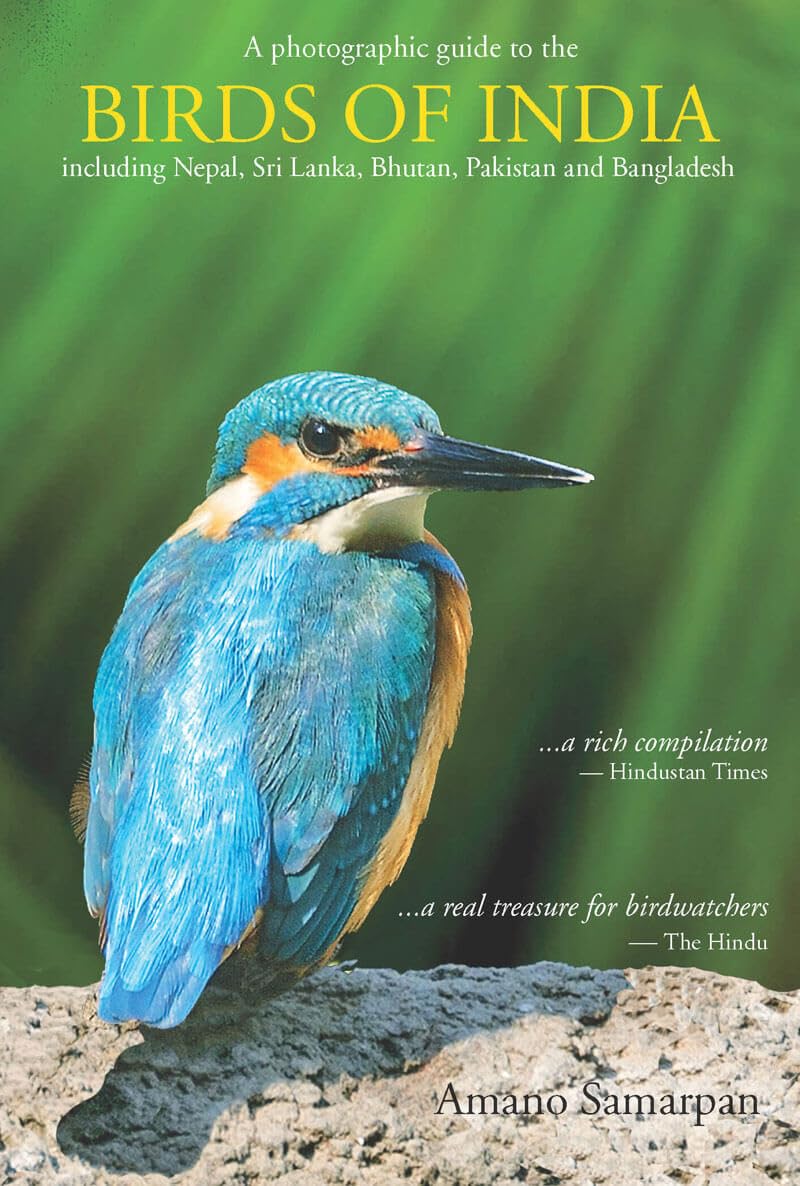 Birds Of India